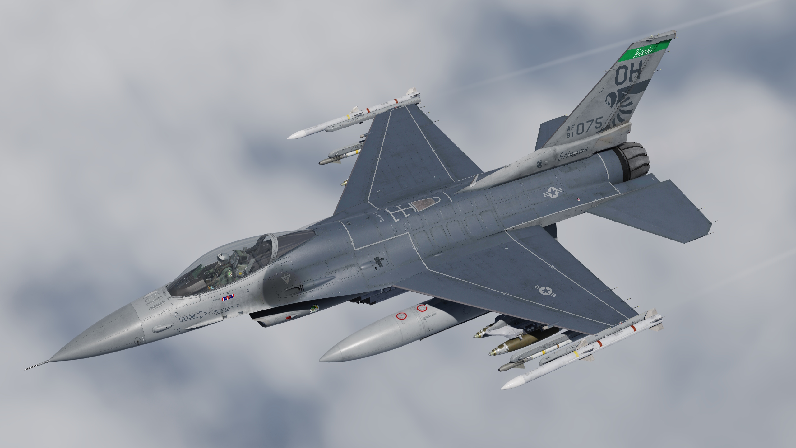 112th Fighter Squadron "Toledo Stingers" Gray 2.0